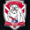 Bulldog Locksmith & Security